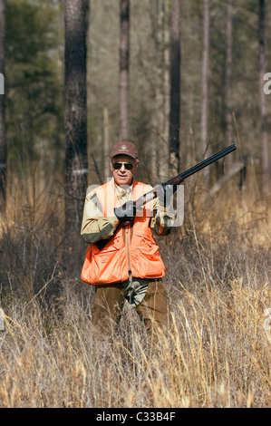 Upland Bird Hunter con una al di sopra e al di sotto di fucile Beretta durante un Bobwhite caccia quaglia in Piney Woods della Georgia Foto Stock