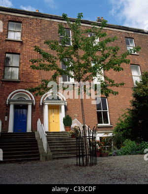 Dublino, Co Dublin, Irlanda, Raglan Road Foto Stock