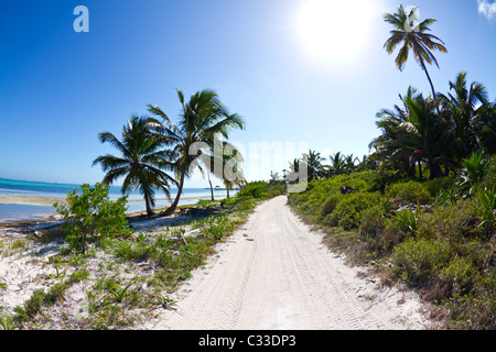 La trafficata autostrada su una remota isola Belize. Foto Stock