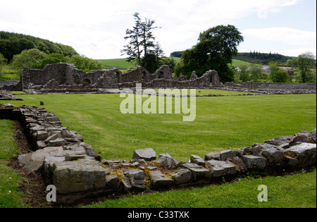 Abbazia di cervo vicino Mintlaw in Aberdeenshire nel nord est della Scozia Foto Stock