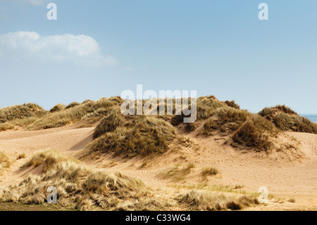 I dettagli delle dune di sabbia in corrispondenza a Balmedie e Menie, una zona essendo sviluppato come un campo da Golf per proprietà speculatore Donald Trump Foto Stock