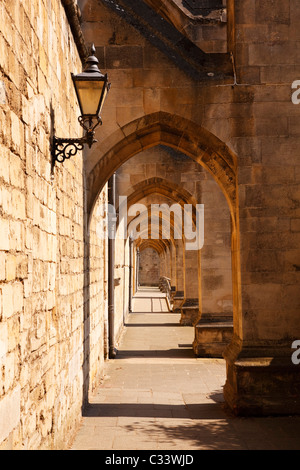 Xx secolo re-inforcing archi rampanti sulla parete sud della cattedrale di Winchester. Foto Stock