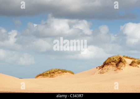 I dettagli delle dune di sabbia in corrispondenza a Balmedie e Menie, una zona essendo sviluppato come un campo da Golf per proprietà speculatore Donald Trump Foto Stock