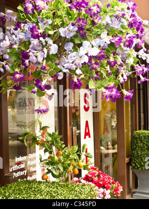 Flower District, West 28th Street, New York Foto Stock