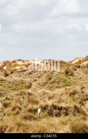 I dettagli delle dune di sabbia in corrispondenza a Balmedie e Menie, una zona essendo sviluppato come un campo da Golf per proprietà speculatore Donald Trump Foto Stock