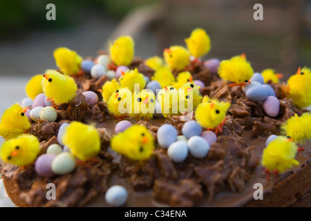 Torta di Pasqua coperto di pulcini e nidi Foto Stock