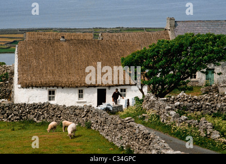 Inishmore, Isole Aran, Irlanda, Cottage Foto Stock