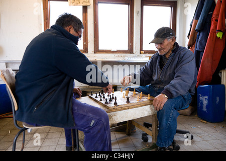 I pescatori a giocare "dama' gioco di bordo. Anche chiamato 'Draughts' gioco di bordo. Di pescatori di capanne, Narsaq, Groenlandia meridionale Foto Stock