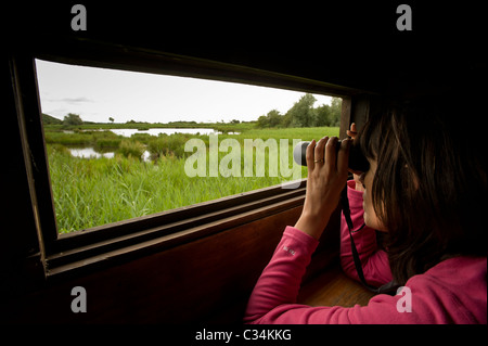 Donna caucasica che guarda attraverso binocoli, da un portello in un nasello di osservazione dell'uccello, Leighton Moss, Regno Unito. Foto Stock