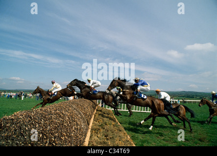 Punchestown Racecourse, nella contea di Kildare, Irlanda Foto Stock