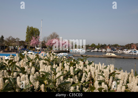 Oulton Broad Suffolk Norfolk Broads Foto Stock