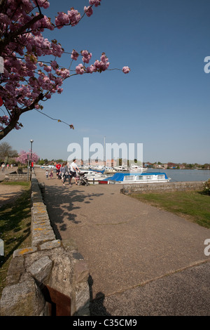 Oulton Broad Suffolk Norfolk Broads Foto Stock