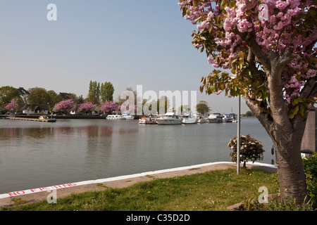 Oulton Broad Suffolk Norfolk Broads Foto Stock