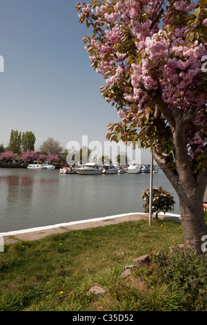 Oulton Broad Suffolk Norfolk Broads Foto Stock