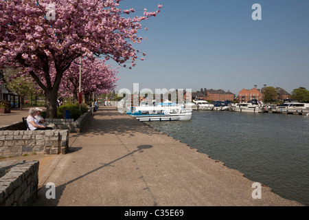 Oulton Broad Foto Stock