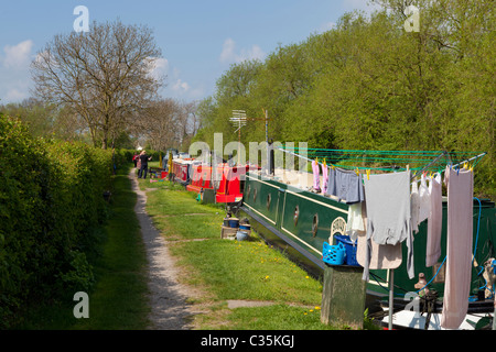 Narrowboats ormeggiato sul Trent e Mersey canal vicino Shardlow Derbyshire Inghilterra GB UK EU Europe Foto Stock