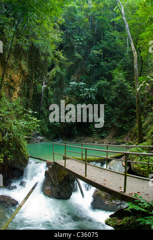 Molla di minerali a Cranbrook Flower Forest, St Ann, Giamaica Foto Stock