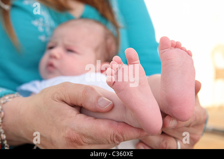 Chiudere fino a sei settimane di età femmina neonato baby feets. GERMANIA Foto Stock