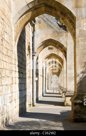 La città di Winchester Cathedral iniziato 1097 , girato attraverso archi rampanti da sud , costruito 1910 per il supporto dal transetto sud Foto Stock