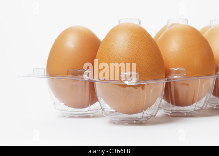 Close up di uova fresche in plastica trasparente vassoio Foto Stock