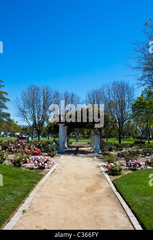 Un piccolo giardino di rose e arbor al Camarillo California City Hall con un percorso attraverso di esso Foto Stock