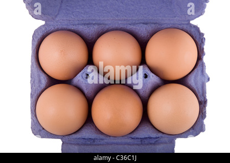 Brown uova di galline in blu confezione di uova, isolato su sfondo bianco Foto Stock