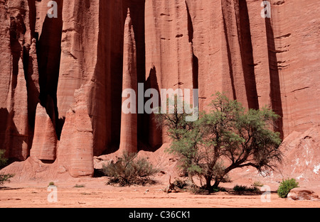 Ripide scogliere di arenaria nella Talampaya National Park, La Rioja, Argentina Foto Stock