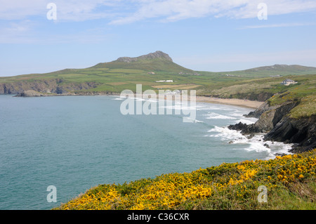 Whitesands Bay e le colline a St Davids testa in Pembrokeshire, Galles Foto Stock