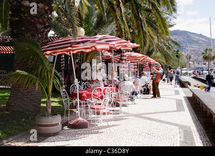 Cafe vicino al porto Funchal Madeira Foto Stock