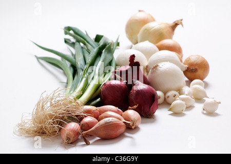 Diversi tipi di cipolla Foto Stock