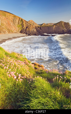 Hartland North Devon Regno Unito Foto Stock