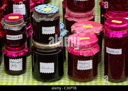 Il Wray Spaventapasseri annuale e la festa del villaggio, Lancaster, Lancashire, Regno Unito Foto Stock