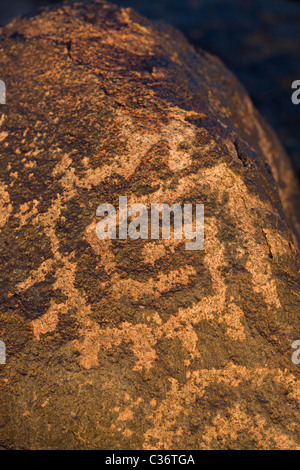 Roccia geometrica di arte presso la roccia dipinta sito Petroglyph vicino Gila Bend, Arizona, Stati Uniti. Foto Stock