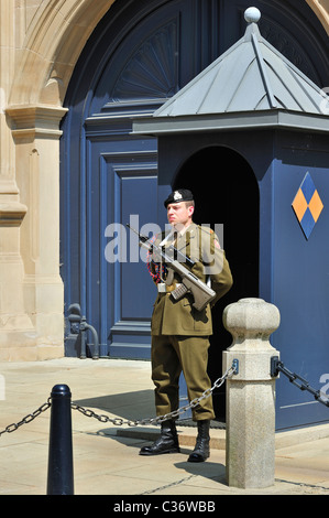 Soldato della guardia di fronte di garitta a Le Grand Ducal Palace / Palais grand-ducal in Lussemburgo, Granducato di Luxemb Foto Stock