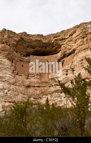 Il castello di Montezuma, una camera 20 di cinque piani di cliff abitazione costruita dalla preistoria indiani Sinagua nel 1150 CE, Arizona, Stati Uniti. Foto Stock