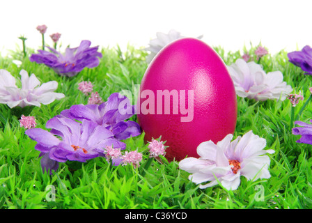 Ostereier auf Blumenwiese - uova di pasqua sul prato di fiori 10 Foto Stock