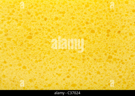 Close up di spugna gialla texture Foto Stock