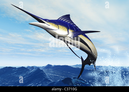 Un elegante blue marlin raffiche da superficie oceanica in un gran salto. Foto Stock