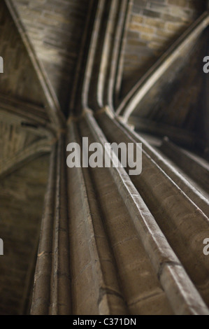 Pilastro a Narbonne cattedrale Foto Stock