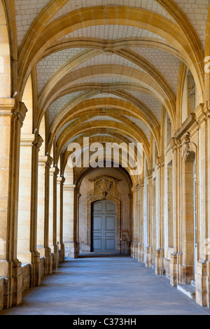 L'Europa, Francia, Marne (51), il chiostro, Saint Remi Museum, Reims Foto Stock