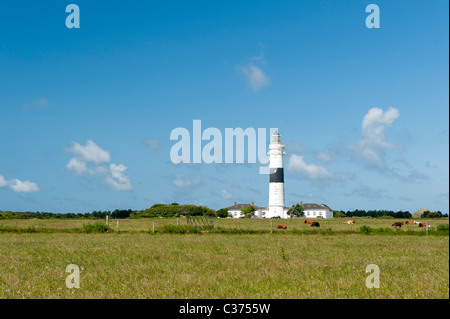 Leuchtturm Langer cristiano. Kampen. Sylt. Deutschland Foto Stock