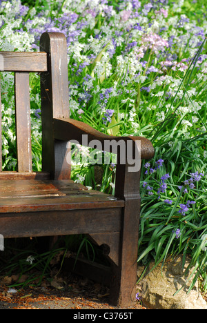 Panca in legno in un giardino inglese durante la primavera. La posizione è Tessier giardino, Chiesa di S. Maria, Torquay, Devon, Regno Unito Foto Stock