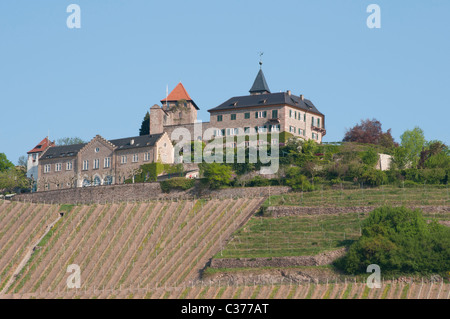 Castello Eberstein con hotel, ristorante gourmet e il vigneto, Gernsbach-Obertsrot, Foresta Nera, Baden-Wuerttemberg, Germania Foto Stock