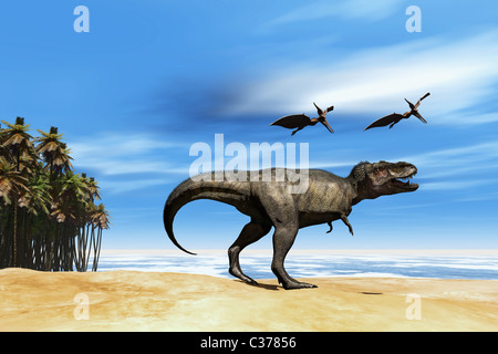 Due Pterodactyl dinosauri volanti sorvolare bestiale Tyrannosaurus Rex in riva al mare in epoca preistorica. Foto Stock