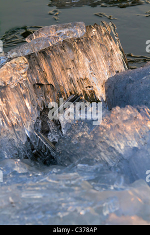 La deriva di ghiaccio sul fiume siberiano Irtysh sotto il tramonto Foto Stock