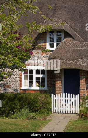 Affascinanti cottage con tetto in paglia in Tarrant Monkton, Dorset nel mese di aprile Foto Stock