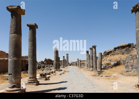 Bosra. La Siria. Vista lungo la linea nord-sud cardo con la sua superficie di ciottoli e rivestiti con fila parallela di colonne. Foto Stock