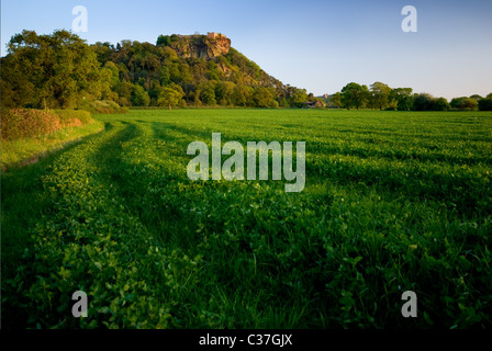 Vista serale di Beeston Castle cheshire england Foto Stock