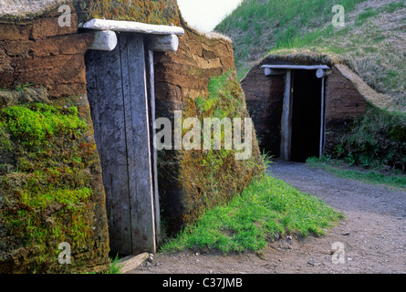 Porte del Vichingo ricostruito case sod Foto Stock