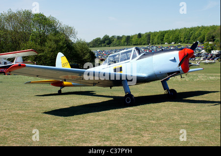 DE HAVILLAND Scoiattolo striado CANADA T 22 'CHIPPIE" Gypsy principali 10 motore a pistoni Foto Stock